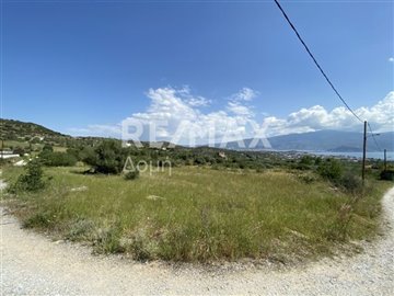 1 - Magnesia, Property