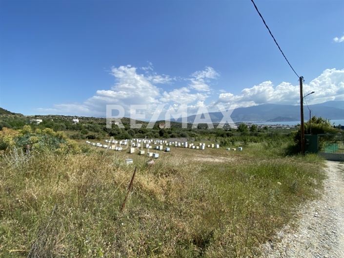 Image No.5-Property for sale