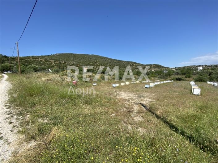 Image No.6-Property for sale