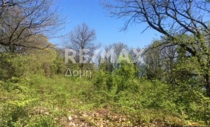 Image No.12-Property for sale