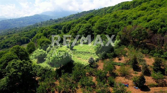 Image No.14-Property for sale