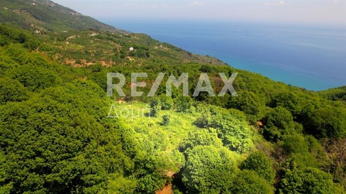 Image No.16-Property for sale