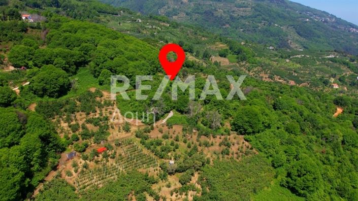 Image No.6-Property for sale