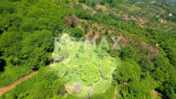 Image No.8-Property for sale