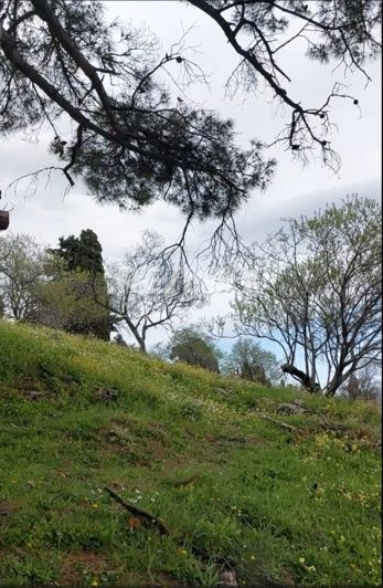 Image No.11-Land for sale