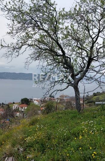 Image No.18-Land for sale