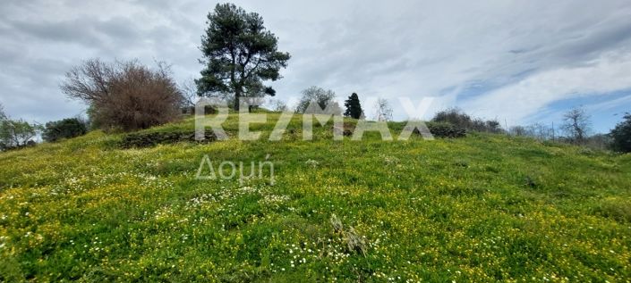 Image No.5-Land for sale