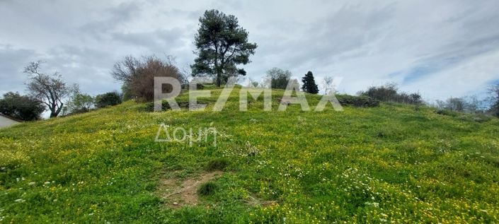 Image No.8-Land for sale