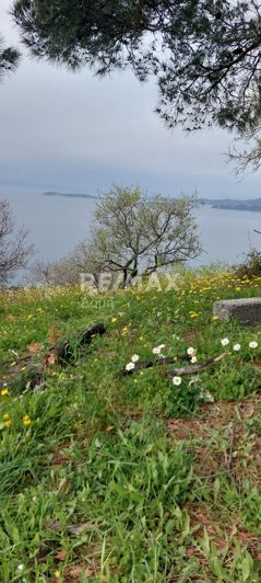 Image No.10-Land for sale