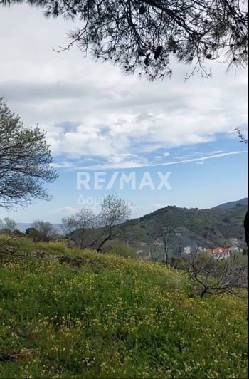 Image No.7-Land for sale