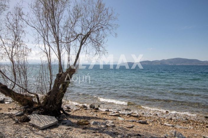 Image No.42-2 Bed House for sale