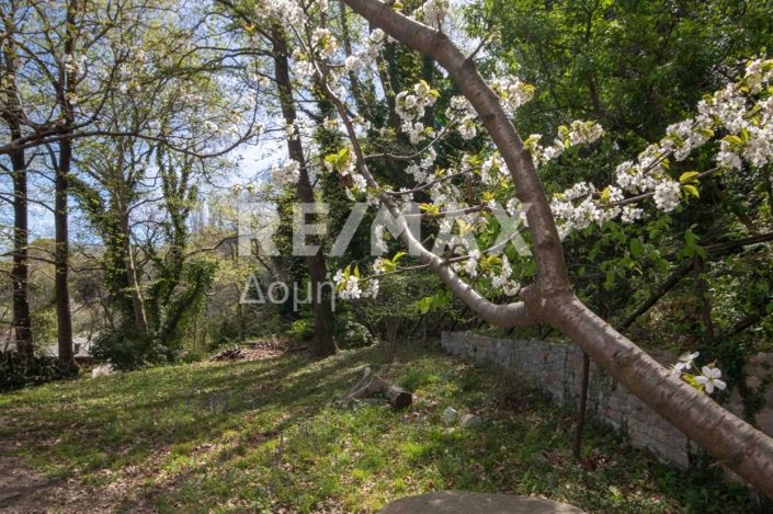 Image No.36-4 Bed Property for sale