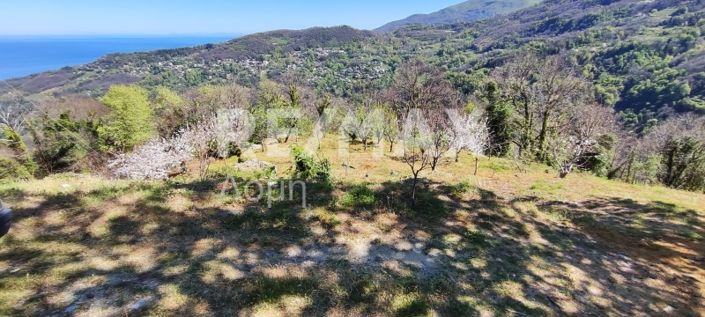 Image No.11-Propriété à vendre à Magnésie