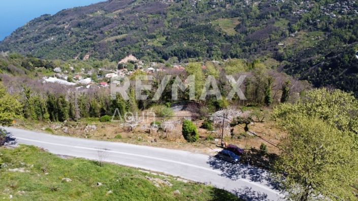 Image No.2-Propriété à vendre à Magnésie