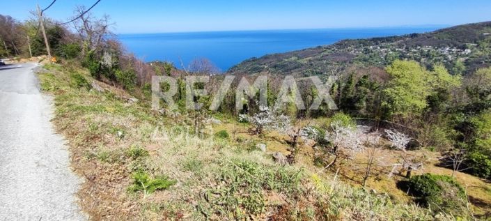 Image No.4-Propriété à vendre à Magnésie