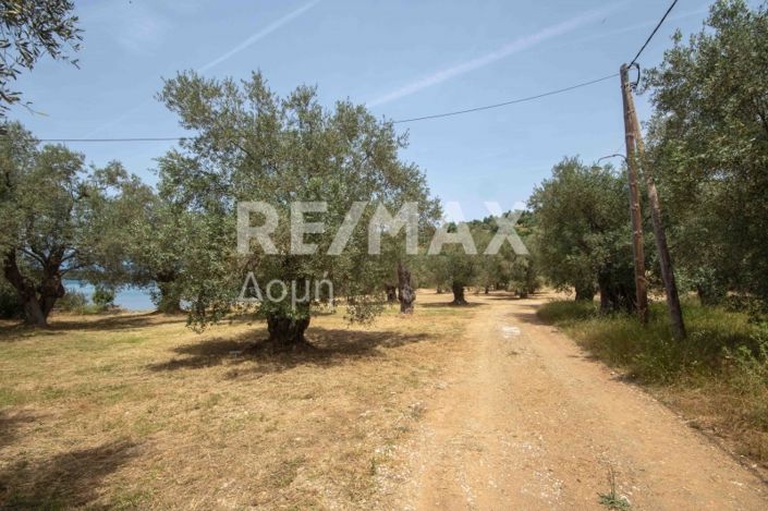 Image No.26-Land for sale