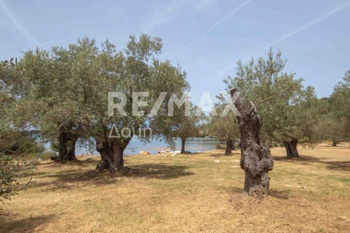 Image No.27-Land for sale