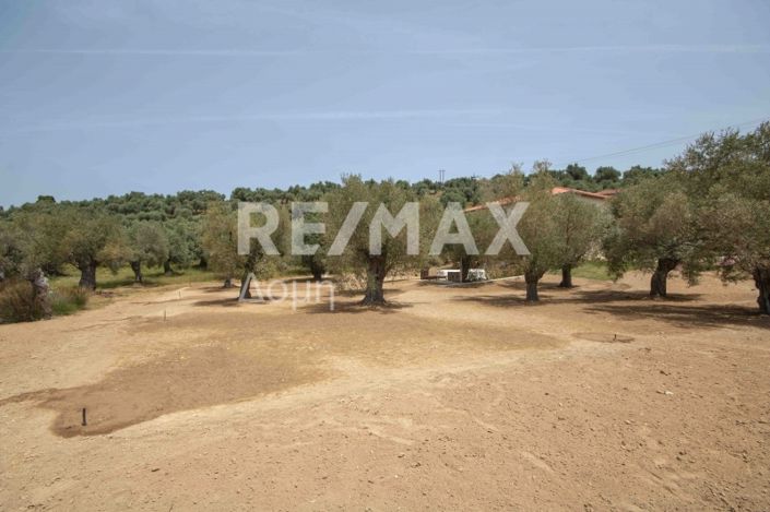 Image No.32-Land for sale