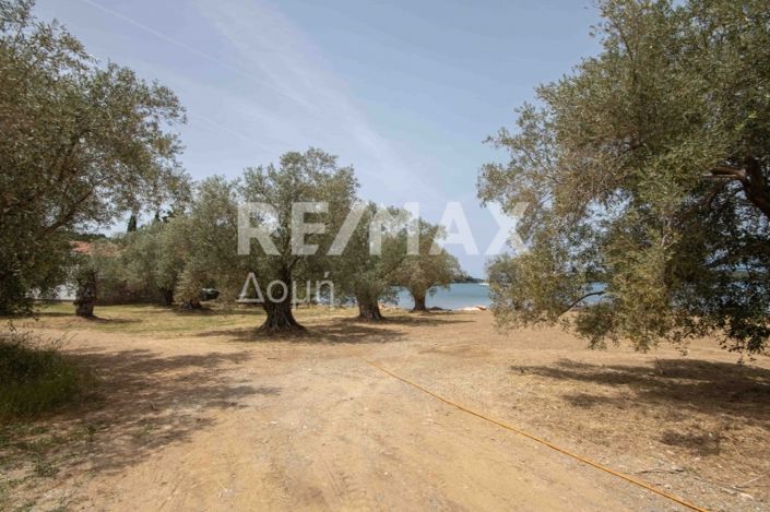 Image No.40-Land for sale