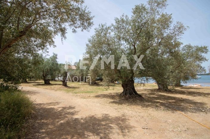 Image No.42-Land for sale