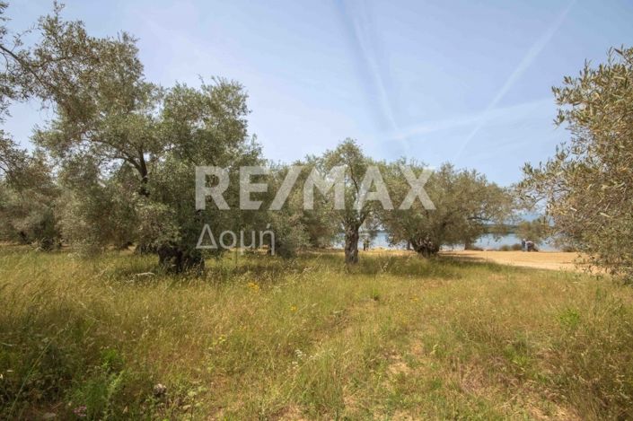 Image No.47-Land for sale