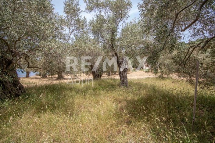 Image No.48-Land for sale