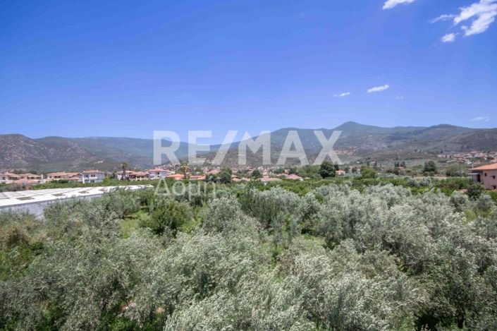 Image No.54-6 Bed House for sale