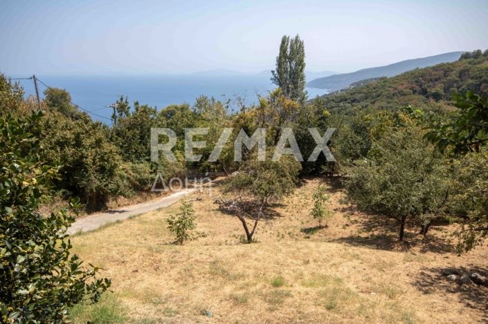 Image No.32-5 Bed Property for sale