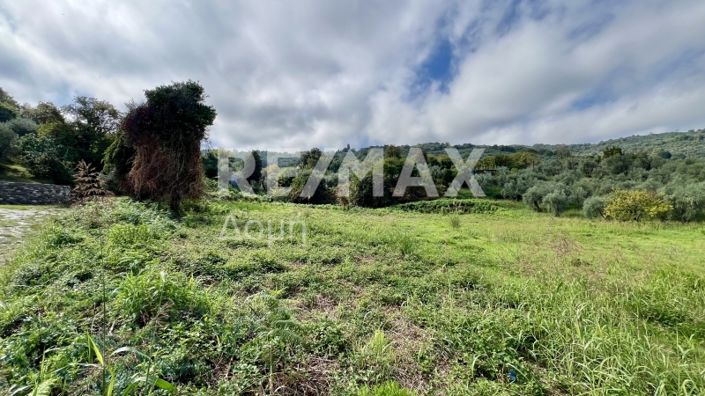 Image No.11-Property for sale