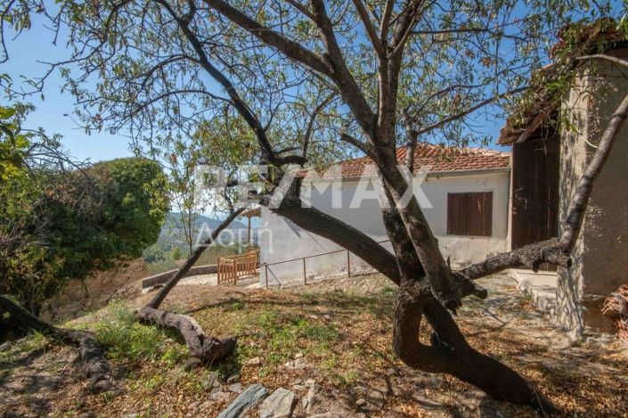 Image No.48-2 Bed House for sale