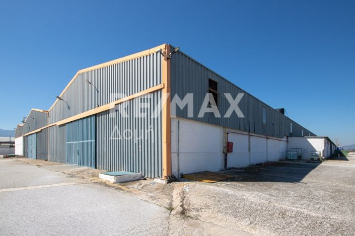 Image No.3-10 Bed Property for sale