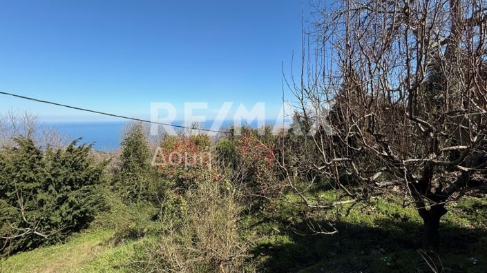 Image No.37-3 Bed Property for sale