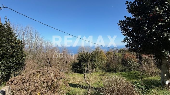 Image No.43-3 Bed Property for sale