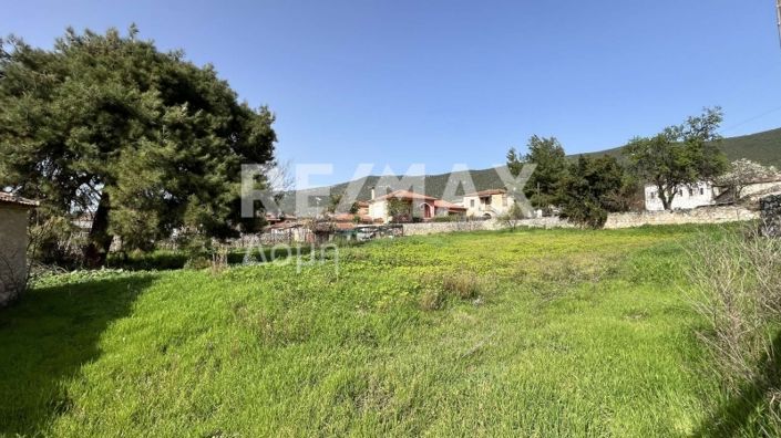 Image No.45-4 Bed Mansion for sale