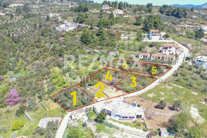 Image No.1-Property for sale