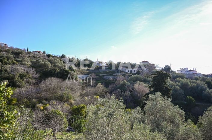 Image No.20-Property for sale