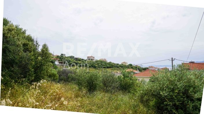 Image No.11-Land for sale