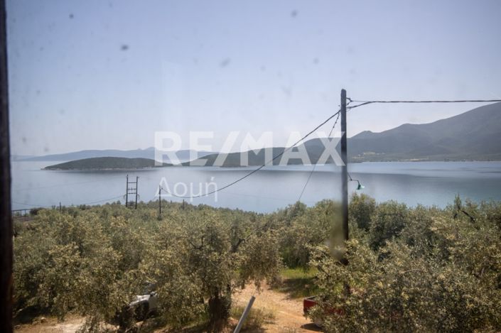 Image No.28-2 Bed House for sale