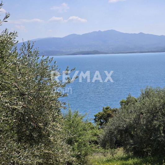 Image No.2-Property for sale