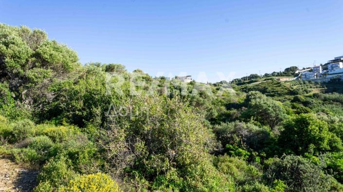 Image No.3-Property for sale