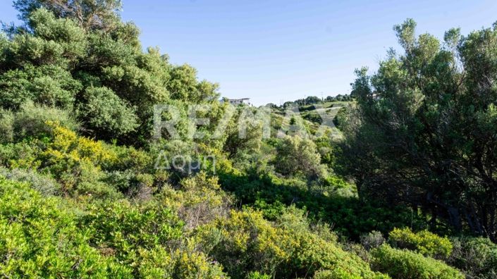 Image No.4-Property for sale