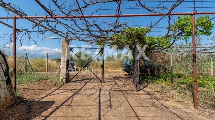 Image No.22-2 Bed House for sale