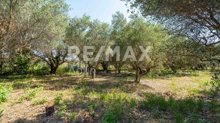 Image No.44-2 Bed House for sale