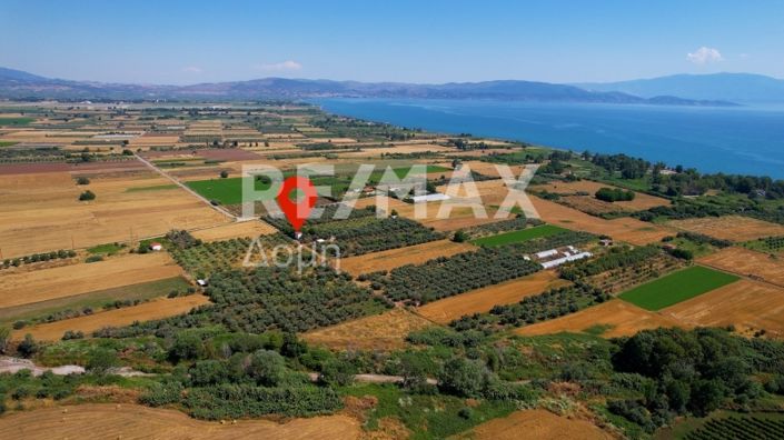 Image No.46-2 Bed House for sale