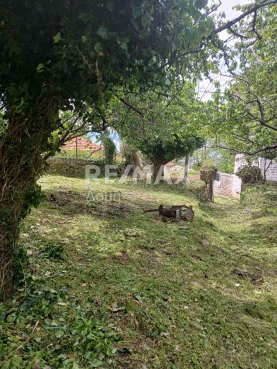 Image No.10-House for sale