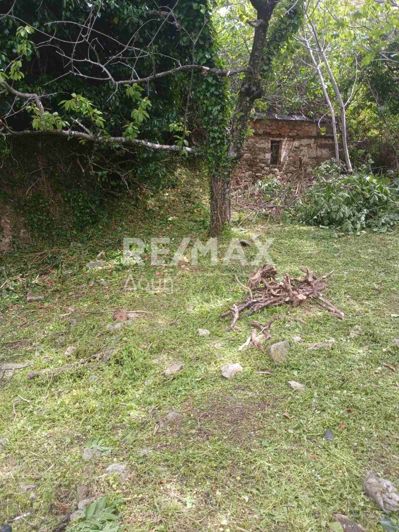 Image No.8-House for sale