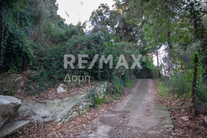 Image No.18-Property for sale