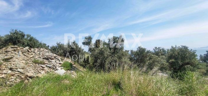 Image No.10-Property for sale