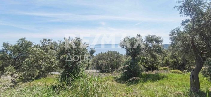 Image No.12-Property for sale