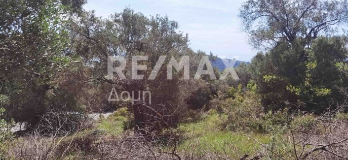 Image No.15-Property for sale